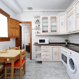 Centro. Atico Ayuntamiento Apartamento Granada